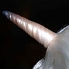 Unicorns