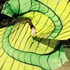 Green Worms