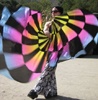 Liquilight UV Reactive Spinning Flags