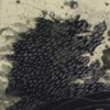 Black Hole