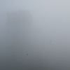 Untitled#9