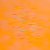 Untitled 11 2011