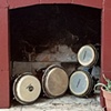 Los Bongo' in the Fireplace