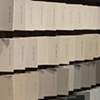 From Ebony to Golf Tee White: United States Employment Transcribed- detail