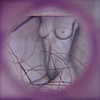 Scopic Regime- detail