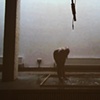 Wash Me, Wash You