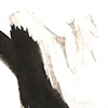 no. 77
