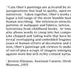 Essay by Kristen Hilman, Assistant Curator, Hirshhorn Museum