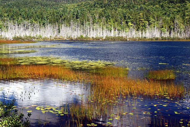 Upper Hadlock Pond, MDI ME