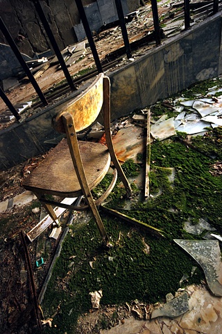 Chair and moss
