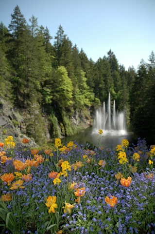 Flowers and waterfall, Victoria BC