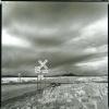 RR xing, Socorro NM