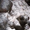 meteorite