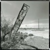 diesel, Orla TX