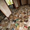 The Library
