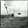 liquor store, Orla TX