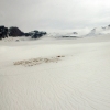 Iditarod dog camp, Mendenhall glacier, Alaska