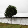 Lone Tree, Round Top, TX