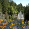 Flowers and waterfall, Victoria BC
