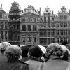 Buildings and People