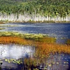 Upper Hadlock Pond, MDI ME