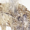 The Threshold of Memory #S3 (detail)