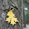 (Un)Natural Surroundings