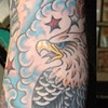 Jamin's arm