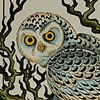 Snowy Owl