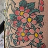 Cherry blossom tree