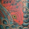 Koi