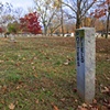 Potter's Field