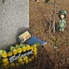 Little Soldier