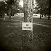 No Trespass