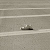 Shoe In Road