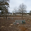 Cemetery And Concrete Plant