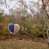 Balloon In Tree