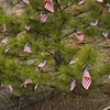 Small Flags Decorating Tree
