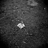 A Flag On The Ground