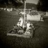 Hobby Horse On A Child's Grave