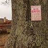 No Dumping