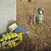 Little Soldier