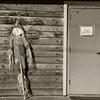 Halloween Scarecrow