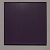 violet dark mono-diptych