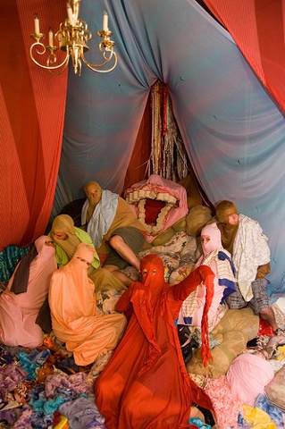 Digestion Lounge