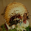 Coralomerete
