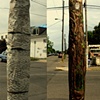 telephone poles wrapped in bark paintings