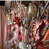 Marrow woman in bone cage