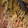 Bone Cage