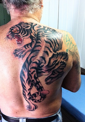 Tigre